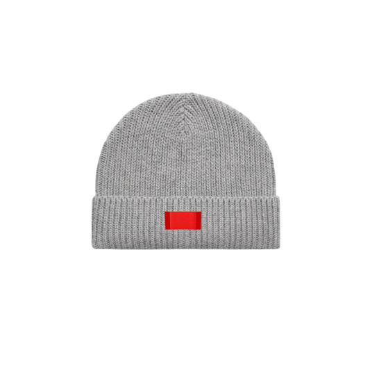 TELL THE TRUTH BEANIE 003