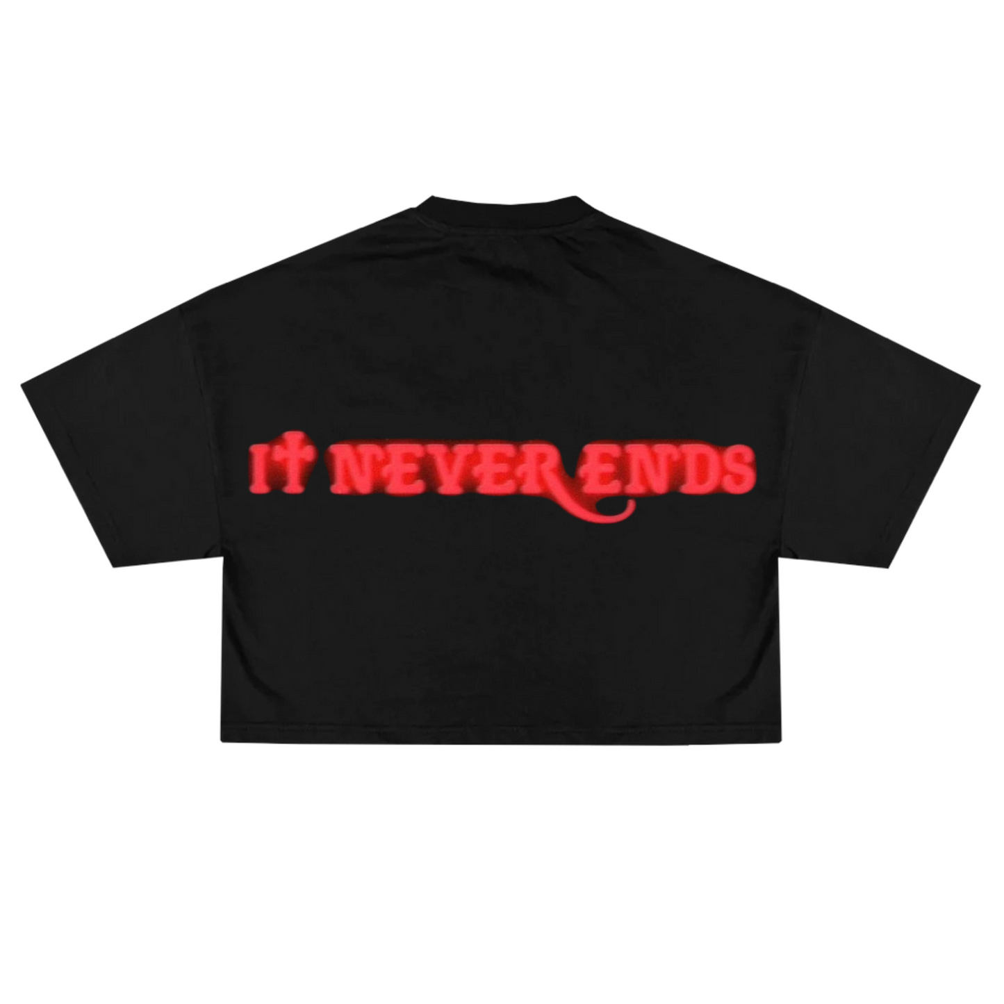 IT NEVER ENDS  T-SHIRT CROP