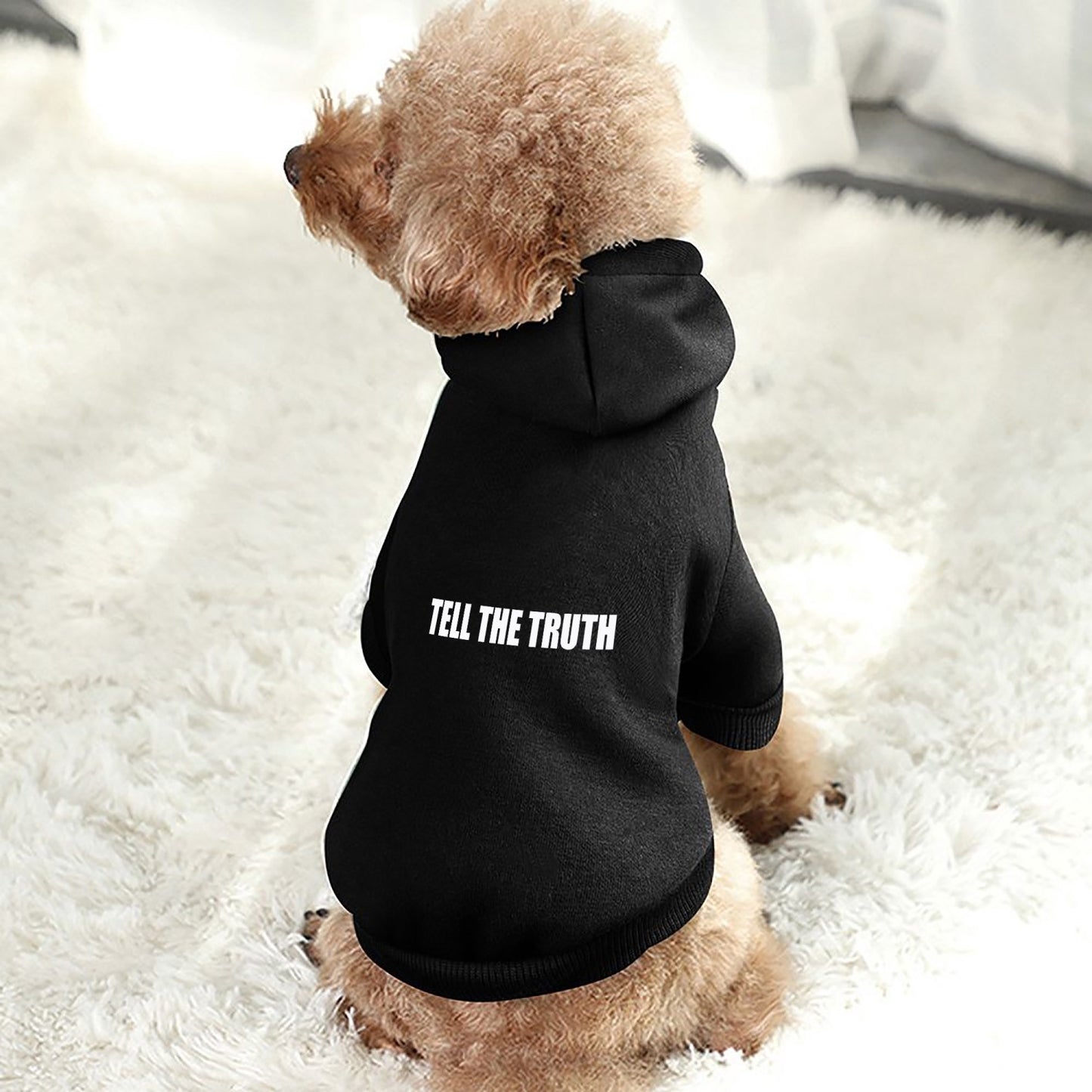 TELL THE TRUTH PET HOODED SUIT